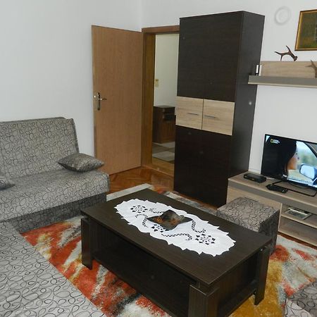 Apartman Sutjeska تجينتيستيه المظهر الخارجي الصورة