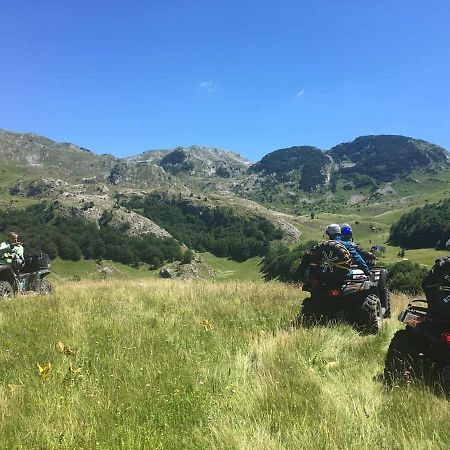 Apartman Sutjeska تجينتيستيه المظهر الخارجي الصورة