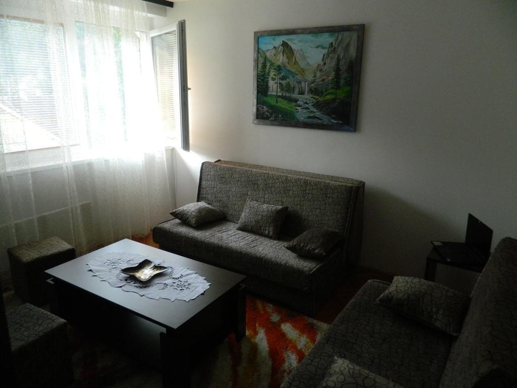 Apartman Sutjeska تجينتيستيه المظهر الخارجي الصورة