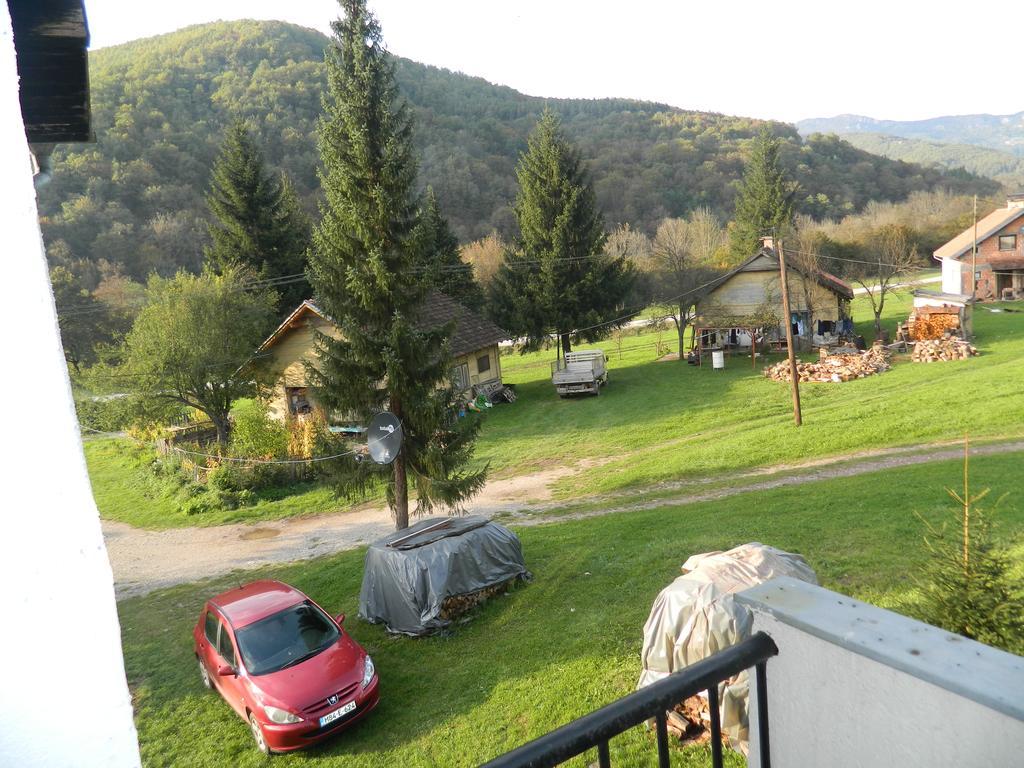 Apartman Sutjeska تجينتيستيه المظهر الخارجي الصورة