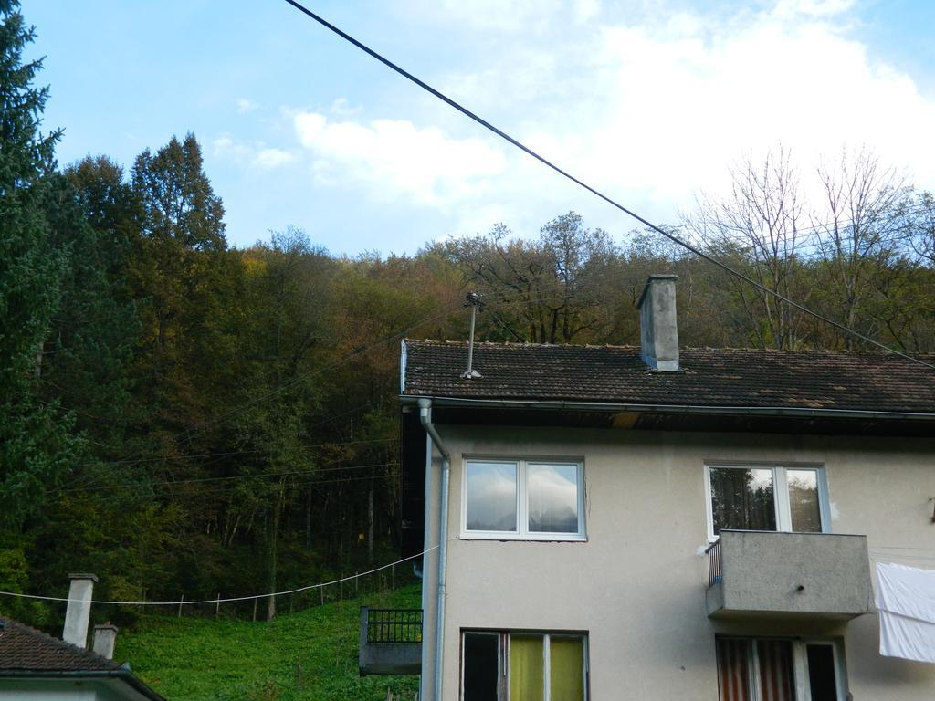 Apartman Sutjeska تجينتيستيه المظهر الخارجي الصورة