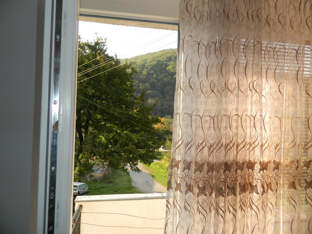 Apartman Sutjeska تجينتيستيه المظهر الخارجي الصورة