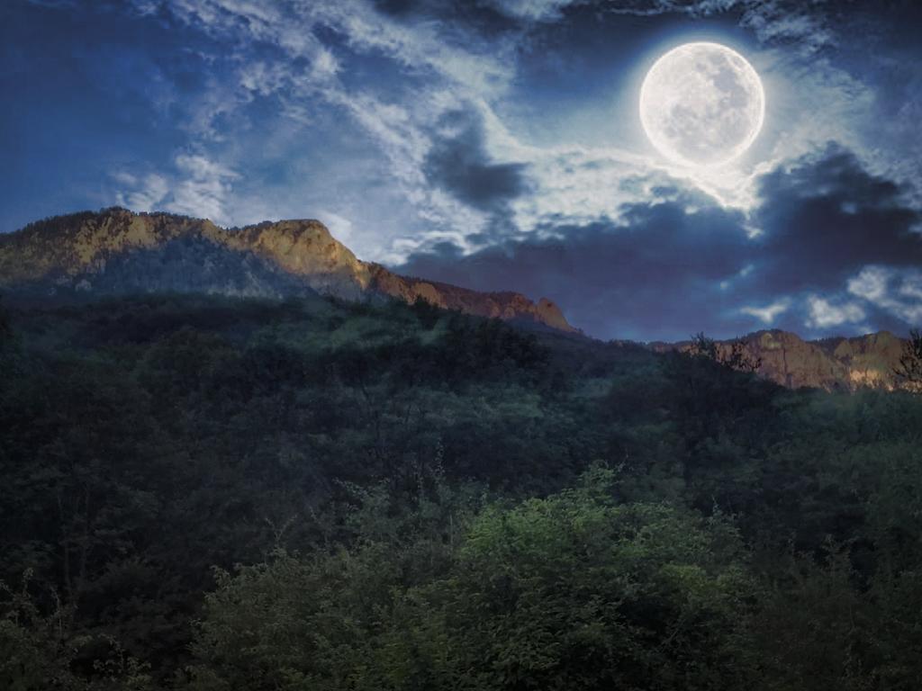 Apartman Sutjeska تجينتيستيه المظهر الخارجي الصورة